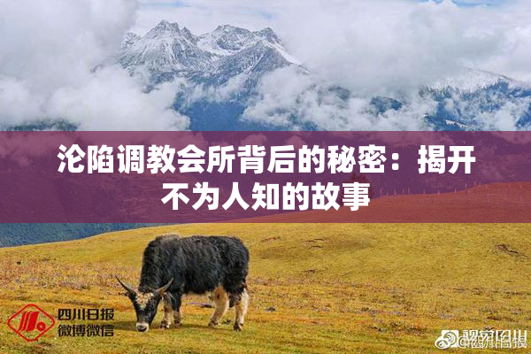 沦陷调教会所背后的秘密：揭开不为人知的故事