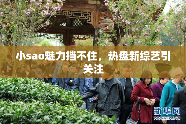 小sao魅力挡不住，热盘新综艺引关注