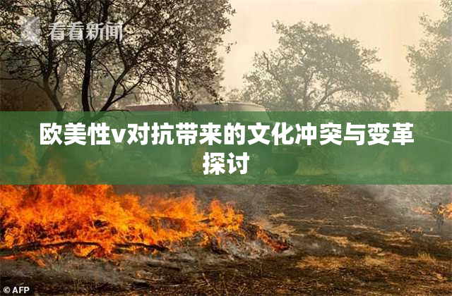 欧美性v对抗带来的文化冲突与变革探讨