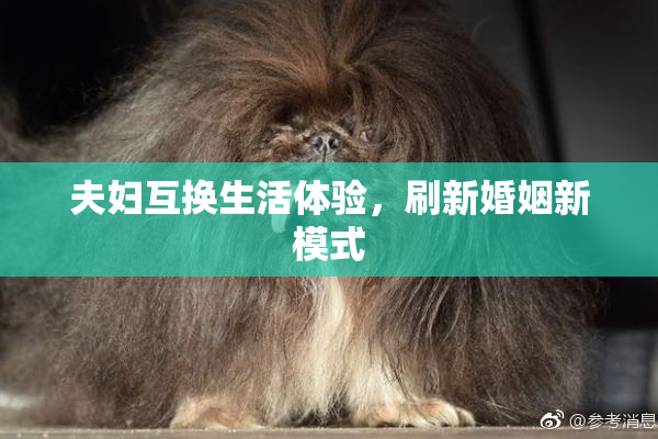 夫妇互换生活体验，刷新婚姻新模式