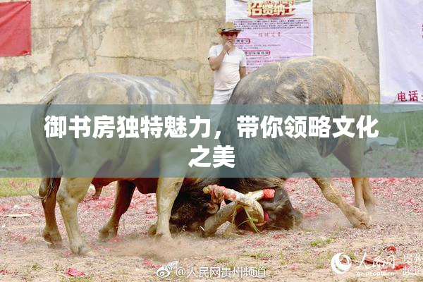 御书房独特魅力，带你领略文化之美