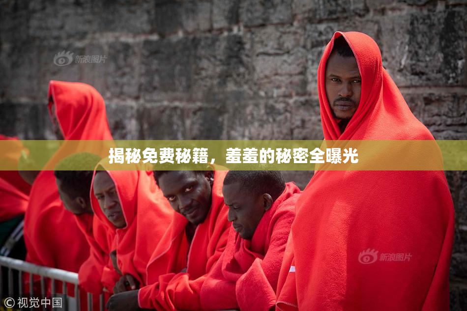 揭秘免费秘籍，羞羞的秘密全曝光