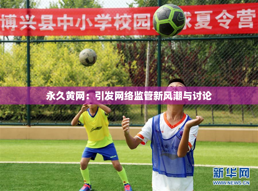 永久黄网：引发网络监管新风潮与讨论
