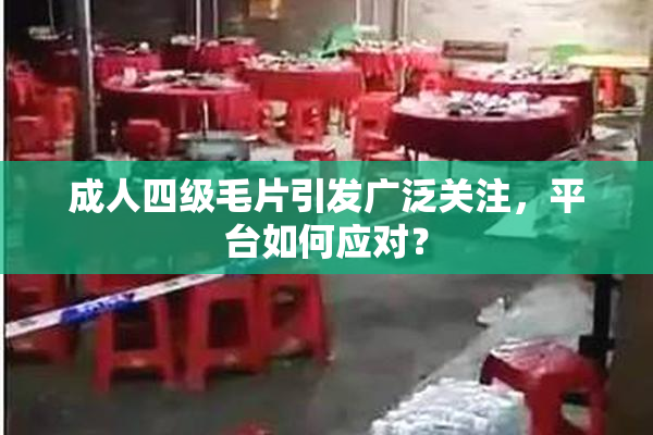 成人四级毛片引发广泛关注，平台如何应对？