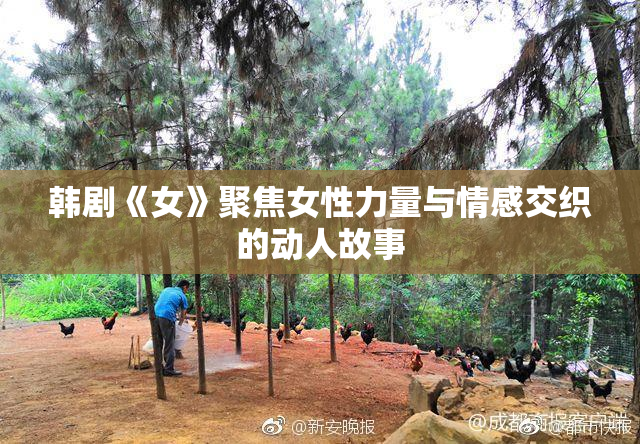 韩剧《女》聚焦女性力量与情感交织的动人故事