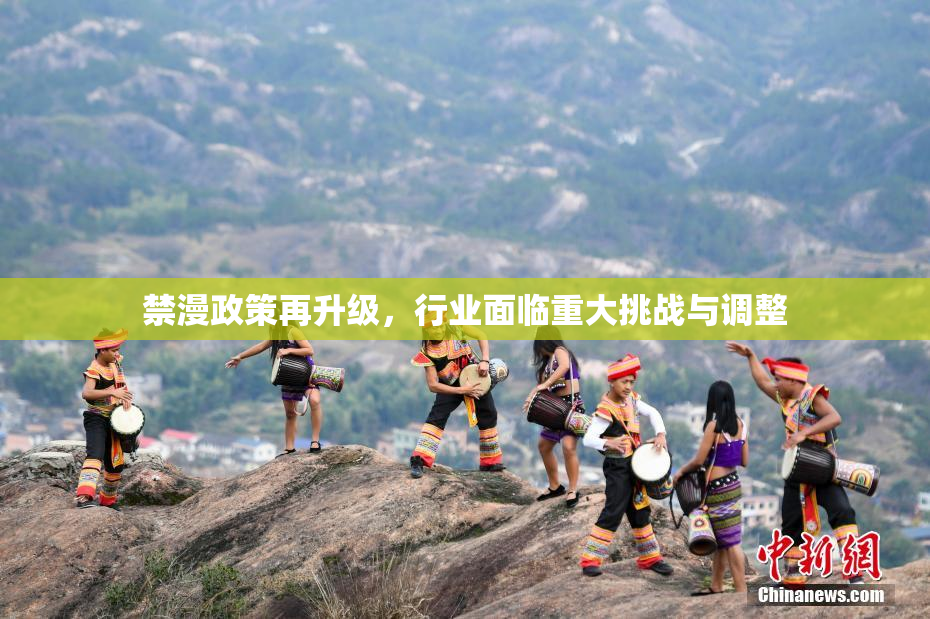 禁漫政策再升级，行业面临重大挑战与调整
