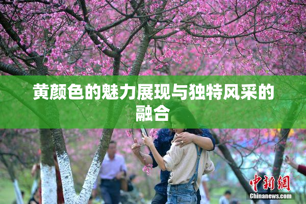 黄颜色的魅力展现与独特风采的融合