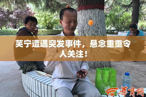 芙宁遭遇突发事件，悬念重重令人关注！