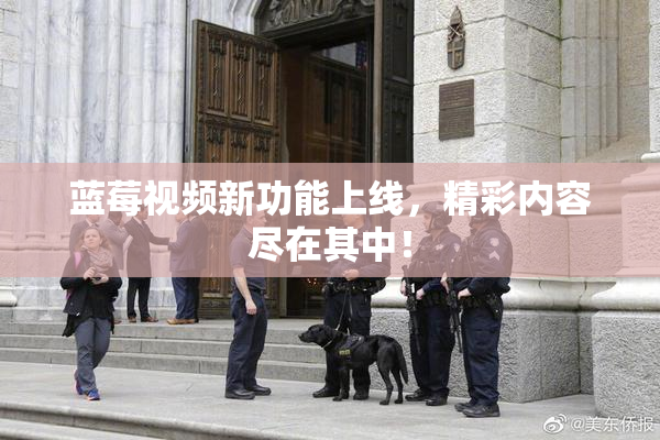 蓝莓视频新功能上线，精彩内容尽在其中！