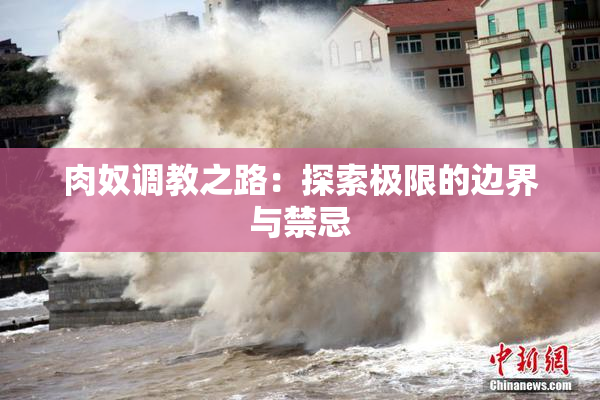 肉奴调教之路：探索极限的边界与禁忌