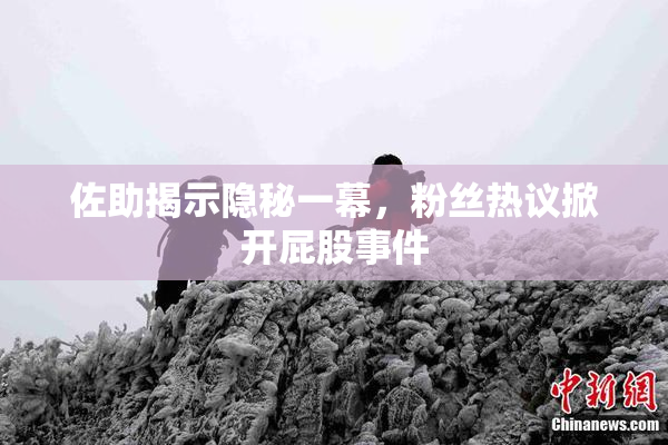 佐助揭示隐秘一幕，粉丝热议掀开屁股事件