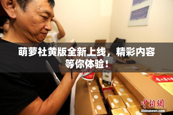 萌萝社黄版全新上线，精彩内容等你体验！