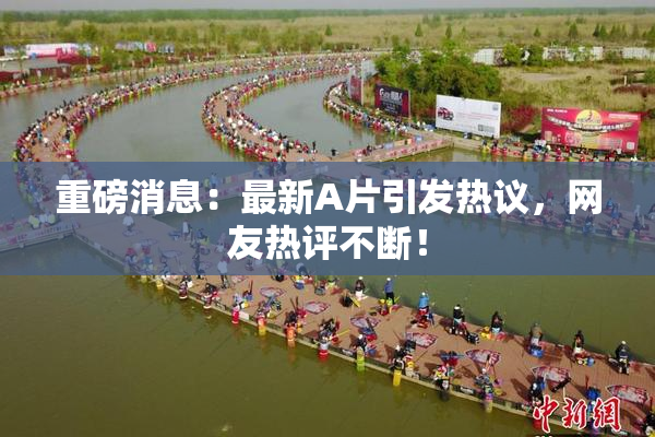 重磅消息：最新A片引发热议，网友热评不断！