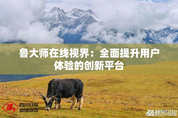 鲁大师在线视界：全面提升用户体验的创新平台