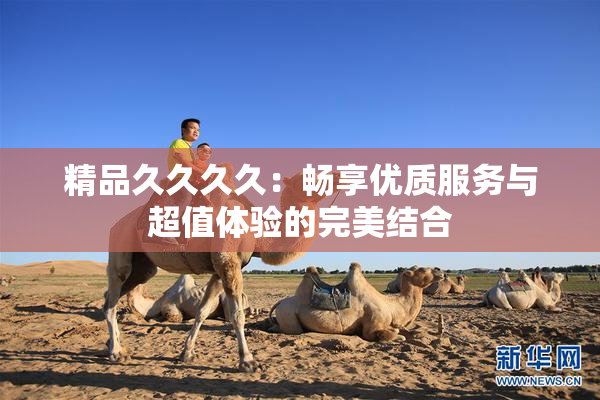 精品久久久久：畅享优质服务与超值体验的完美结合