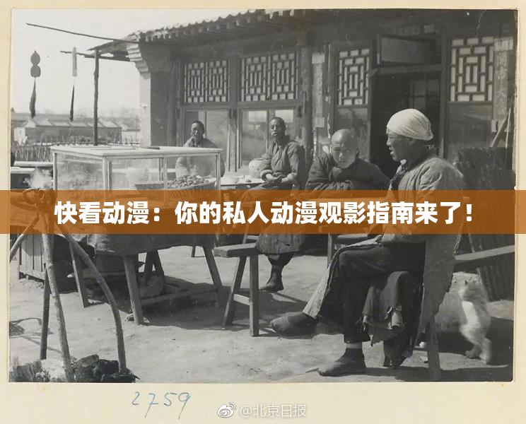 快看动漫：你的私人动漫观影指南来了！