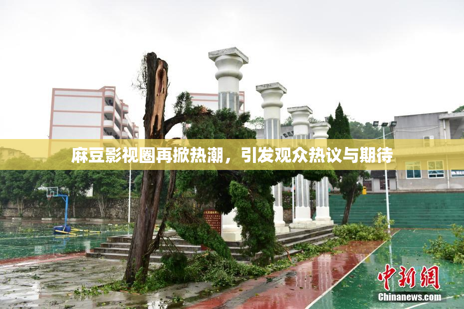 麻豆影视圈再掀热潮，引发观众热议与期待