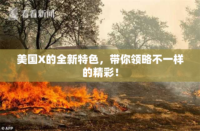美国X的全新特色，带你领略不一样的精彩！