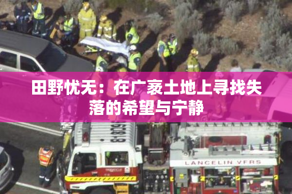 田野忧无：在广袤土地上寻找失落的希望与宁静