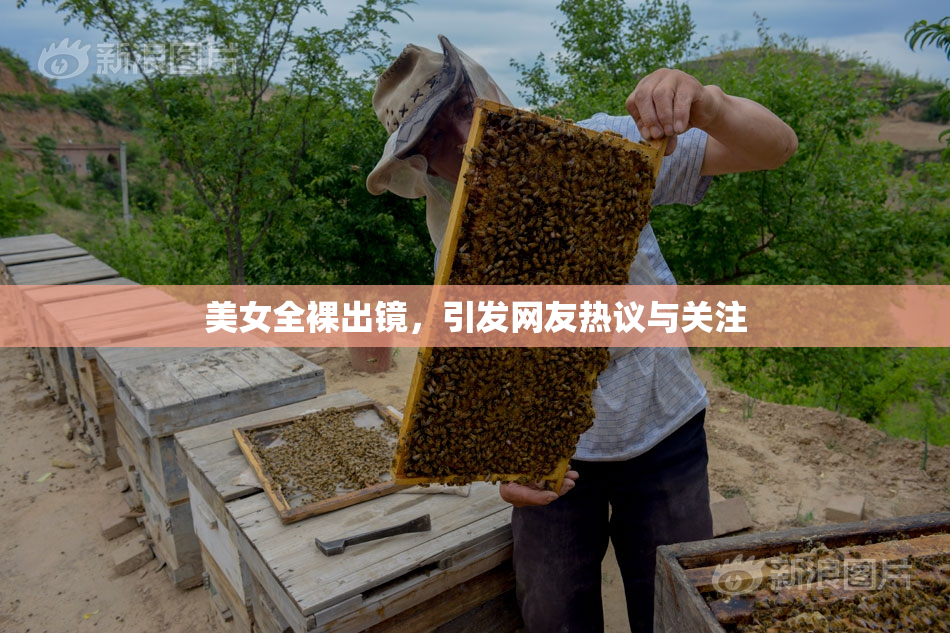 美女全裸出镜，引发网友热议与关注