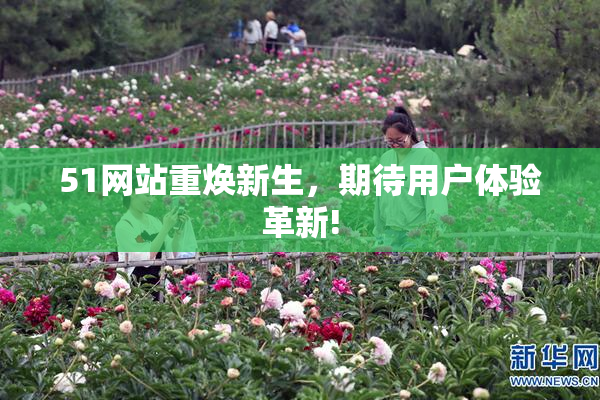 51网站重焕新生，期待用户体验革新!