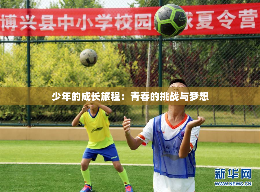 少年的成长旅程：青春的挑战与梦想