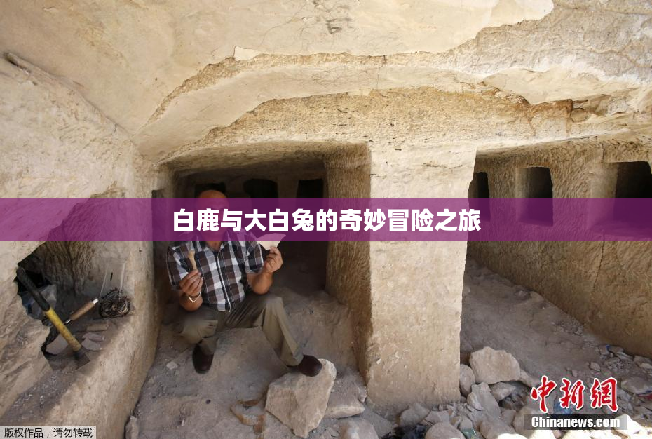 白鹿与大白兔的奇妙冒险之旅