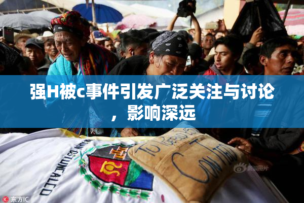 强H被c事件引发广泛关注与讨论，影响深远