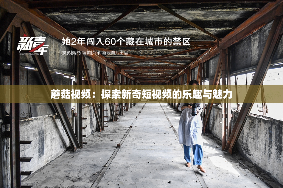 蘑菇视频：探索新奇短视频的乐趣与魅力