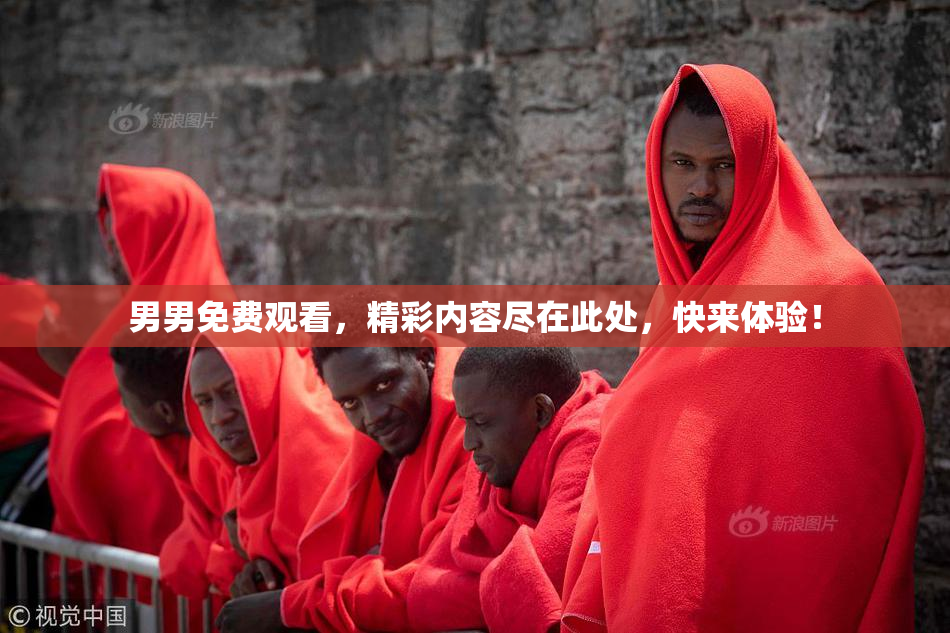 男男免费观看，精彩内容尽在此处，快来体验！