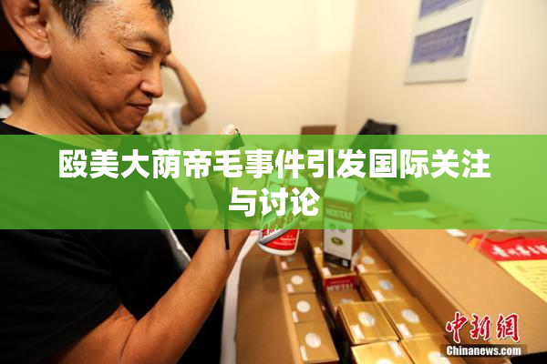 殴美大荫帝毛事件引发国际关注与讨论