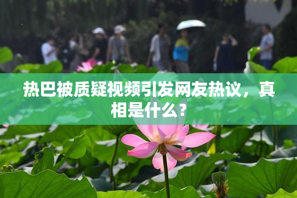 热巴被质疑视频引发网友热议，真相是什么？