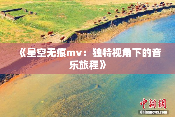 《星空无痕mv：独特视角下的音乐旅程》