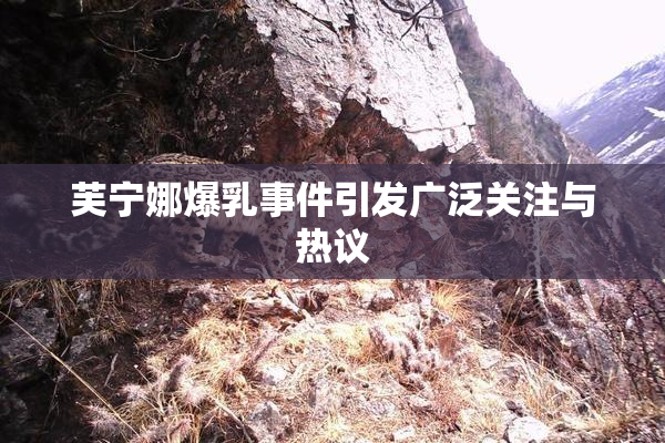 芙宁娜爆乳事件引发广泛关注与热议