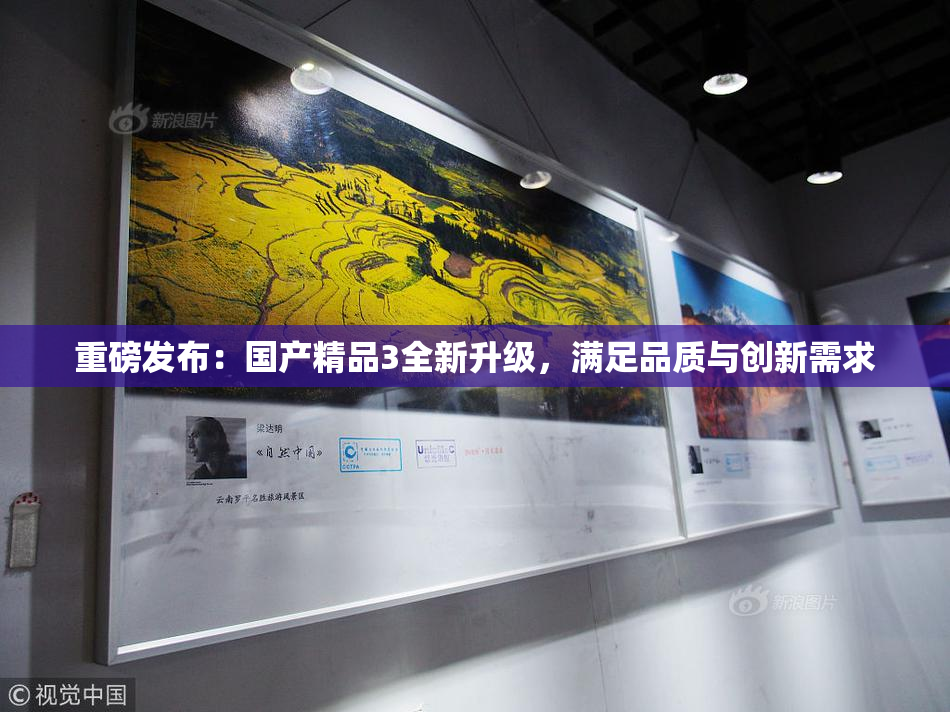 重磅发布：国产精品3全新升级，满足品质与创新需求