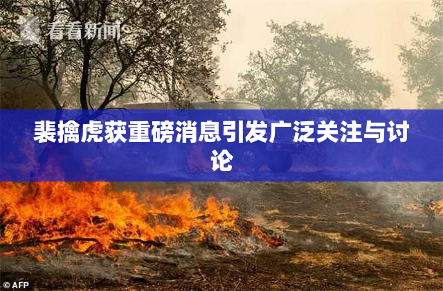 裴擒虎获重磅消息引发广泛关注与讨论