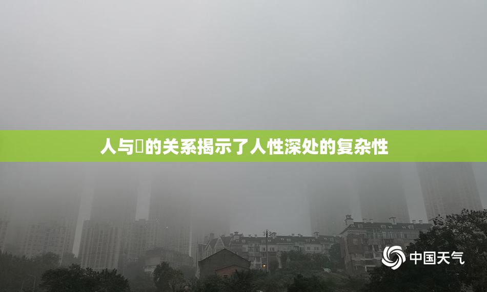 人与嘼的关系揭示了人性深处的复杂性