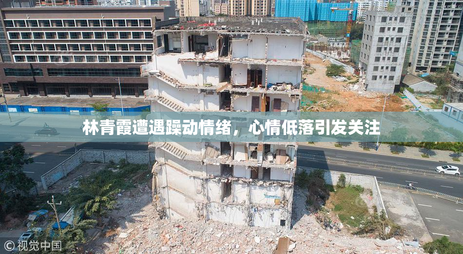 林青霞遭遇躁动情绪，心情低落引发关注
