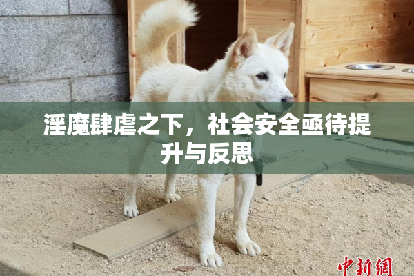 淫魔肆虐之下，社会安全亟待提升与反思