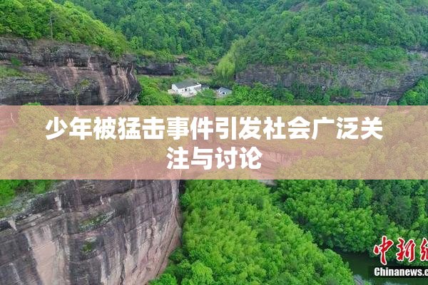 少年被猛击事件引发社会广泛关注与讨论