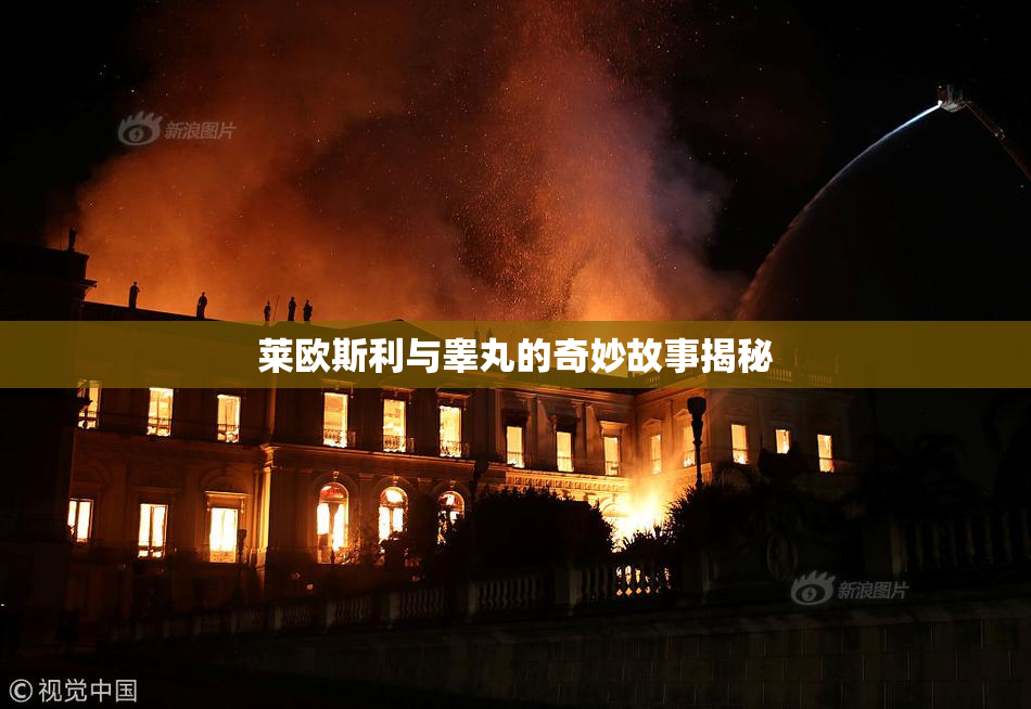 莱欧斯利与睾丸的奇妙故事揭秘