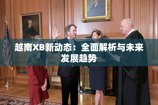 越南XB新动态：全面解析与未来发展趋势