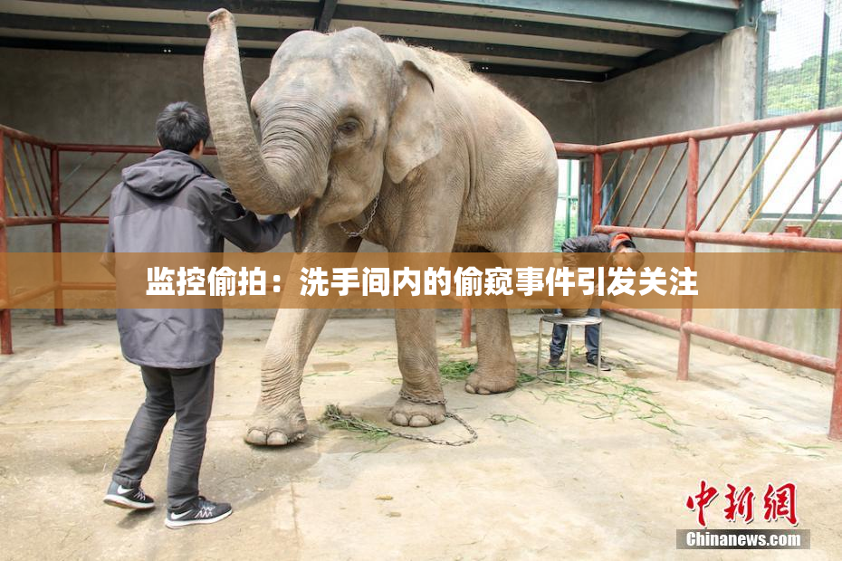 监控偷拍：洗手间内的偷窥事件引发关注