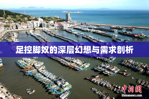 足控脚奴的深层幻想与需求剖析