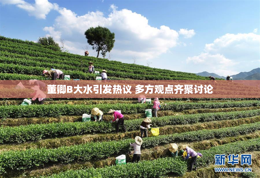 董卿B大水引发热议 多方观点齐聚讨论