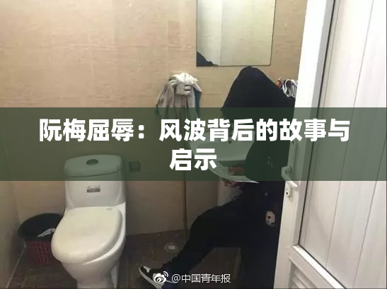 阮梅屈辱：风波背后的故事与启示