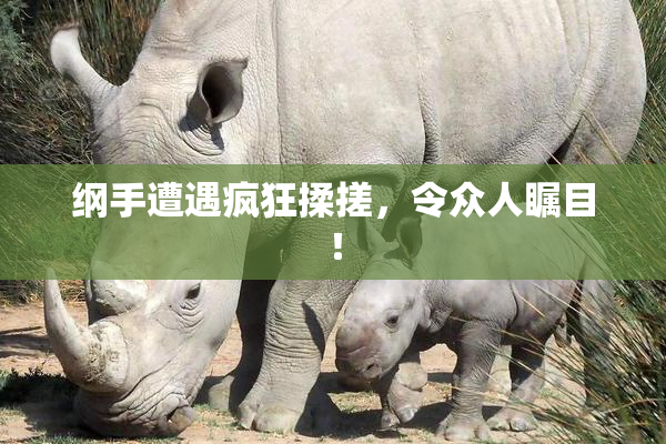 纲手遭遇疯狂揉搓，令众人瞩目！