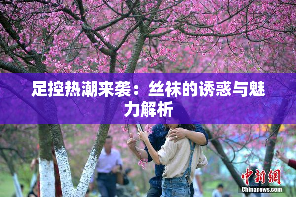 足控热潮来袭：丝袜的诱惑与魅力解析