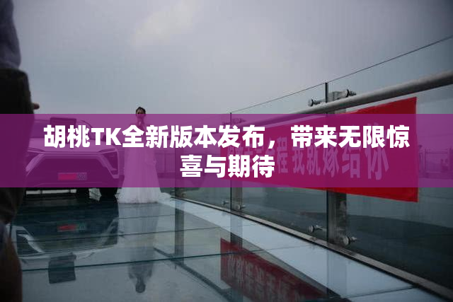 胡桃TK全新版本发布，带来无限惊喜与期待