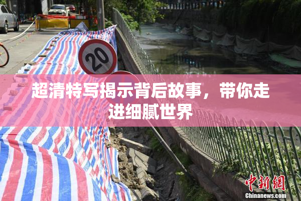 超清特写揭示背后故事，带你走进细腻世界